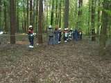 Maibaum_2016 (34).JPG